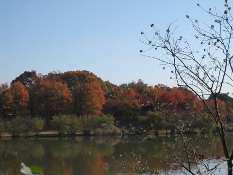 IMG_1695.jpg