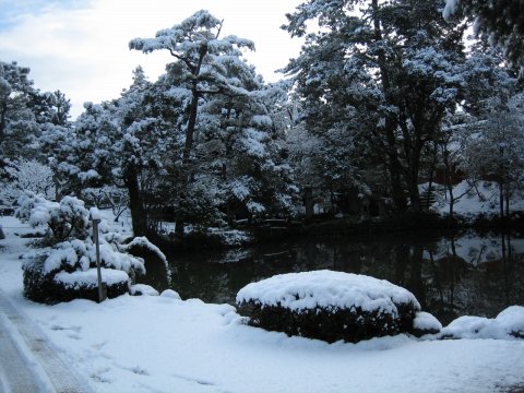 雪2008