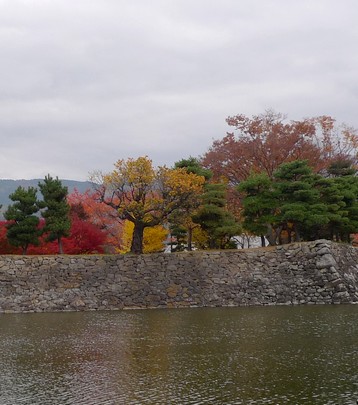 nagano9