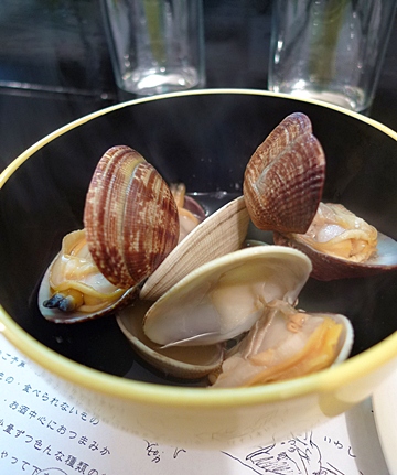 yamanekoken5.JPG